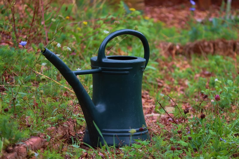 Mini Watering Cans