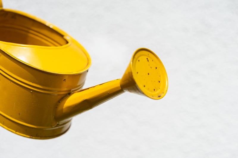Recycled watering can